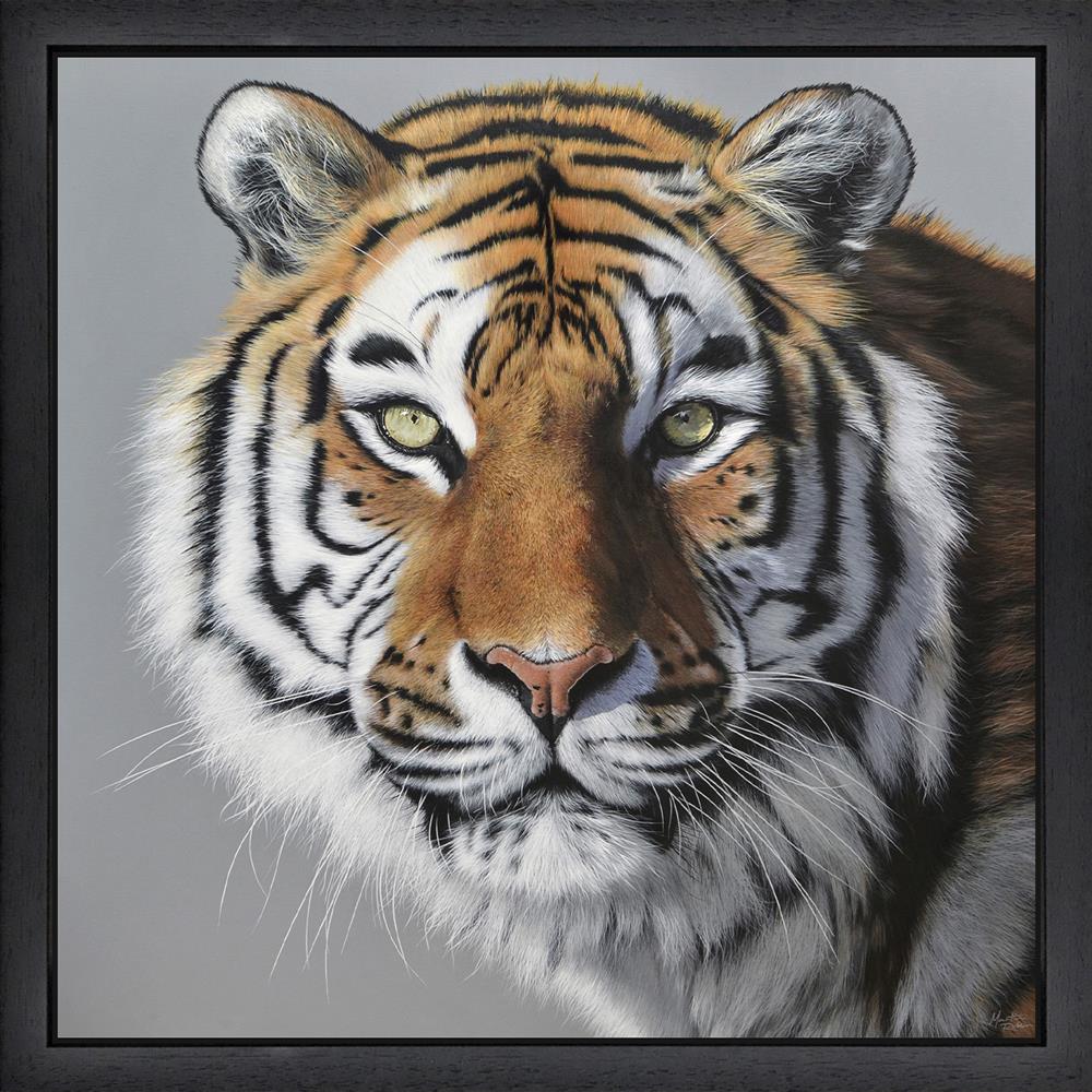 Martin Robson - Amur Tiger - Watergate Art